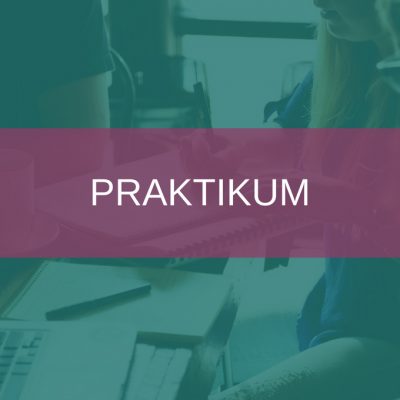 Praktikum Praktikum